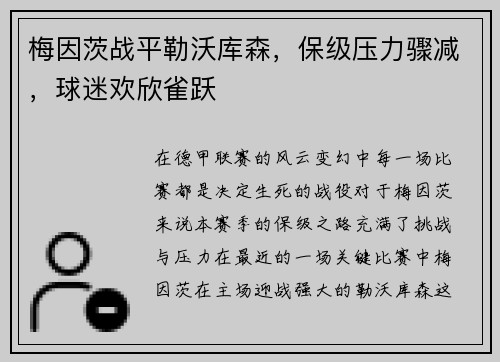 梅因茨战平勒沃库森，保级压力骤减，球迷欢欣雀跃