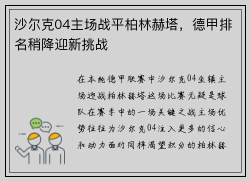 沙尔克04主场战平柏林赫塔，德甲排名稍降迎新挑战