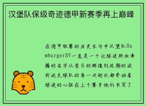 汉堡队保级奇迹德甲新赛季再上巅峰