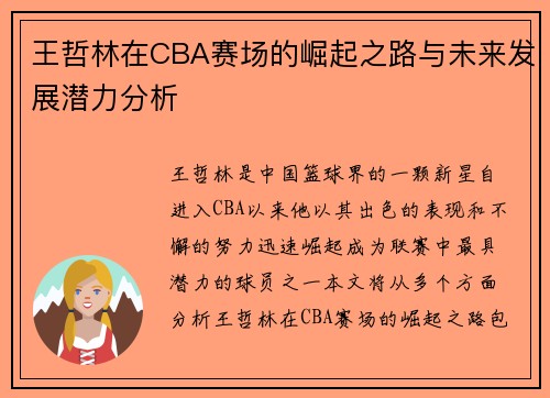王哲林在CBA赛场的崛起之路与未来发展潜力分析