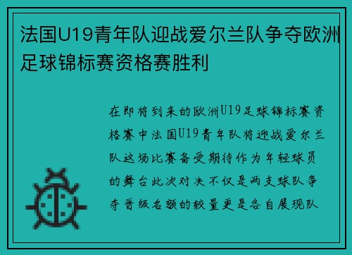 法国U19青年队迎战爱尔兰队争夺欧洲足球锦标赛资格赛胜利
