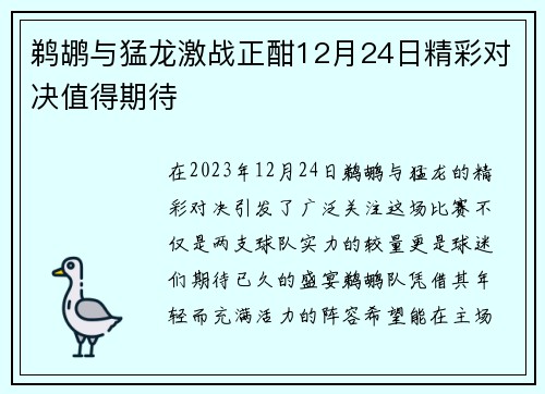 鹈鹕与猛龙激战正酣12月24日精彩对决值得期待