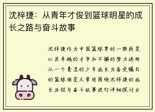 沈梓捷：从青年才俊到篮球明星的成长之路与奋斗故事