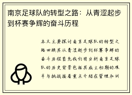 南京足球队的转型之路：从青涩起步到杯赛争辉的奋斗历程